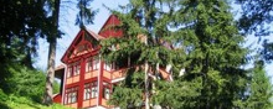 Ezüstfenyő Hotel