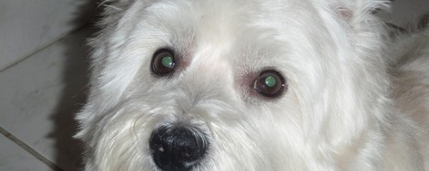 Margaréta Apartman Ház Hajdúszoboszló