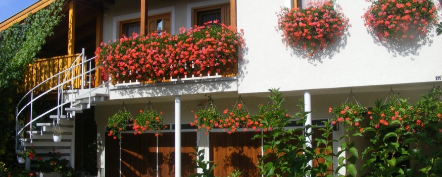 NAPFÉNY  APARTMANHÁZ EGER