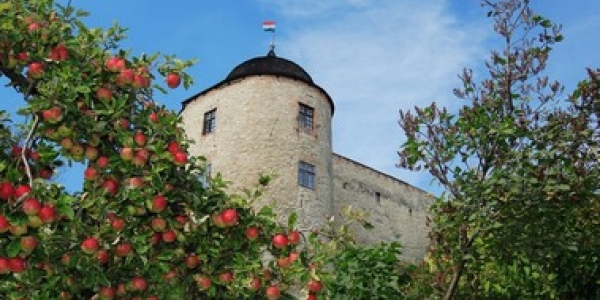 Pécsváradi Várszálló