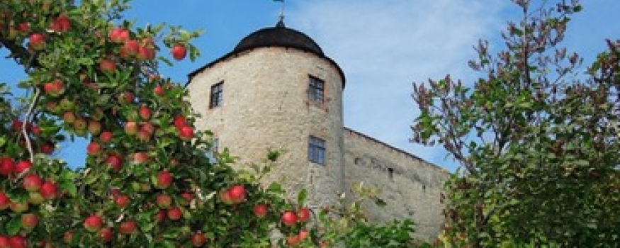 Pécsváradi Várszálló