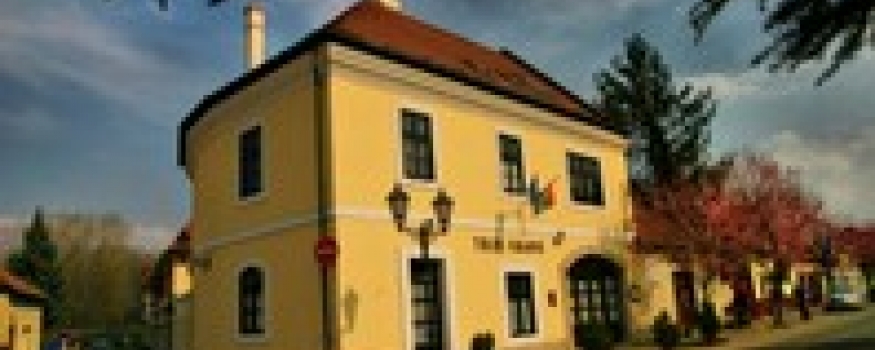 Toldi Fogadó*** Az 5 puttonyos Wellness-ház