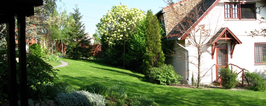 Vadrózsa Panzió Szentendre